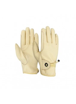 Riding Gloves
